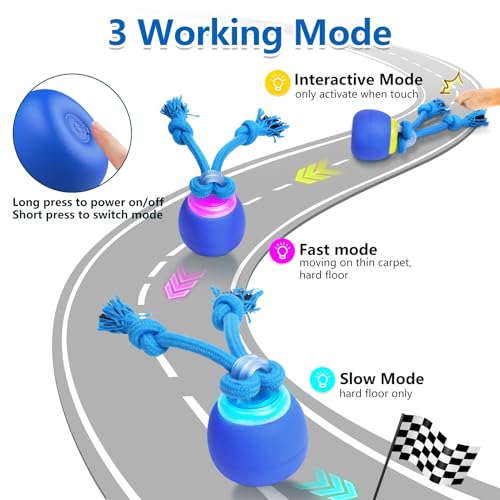 Interactive Dog Toys (Dark blue)