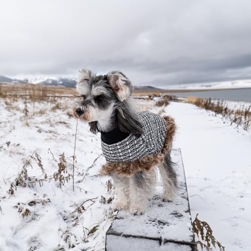Dog Sweater Cloak (Large(Back Length 14") / Black)
