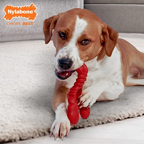 Lobster Power Chew Toy for Dogs (Lobster 1 Pack / X-Large)