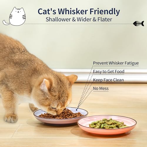 6 Inch Ceramic Cat Bowls (6 Inch, Set of 6 / Gradient Color)