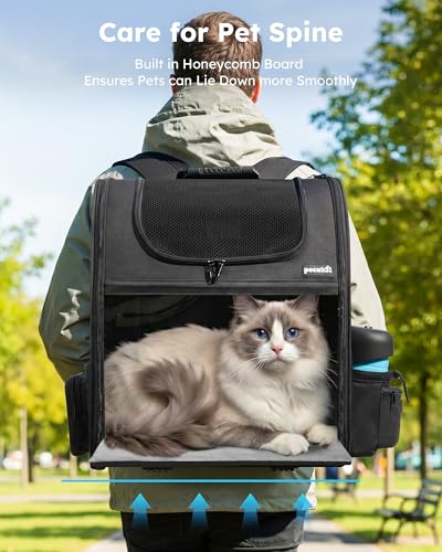 Cat Backpack Expandable (Black / 15.4"L x 11.0"W x 19.0"H)