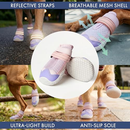 365 Dog Shoes (Pink Purple / Size 7: 2.8"x3.15"(W*L) (Pack of 4))