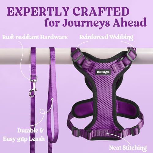 Cat Harness and Leash Set (Xs / Purple)