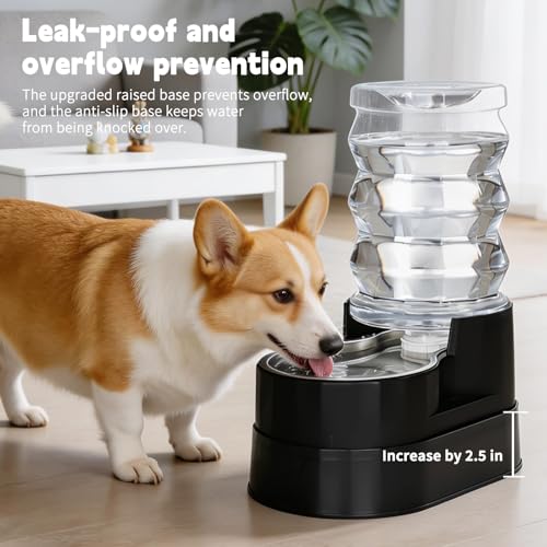 7L Raised Dog Water Dispenser (7L / Classic Black)