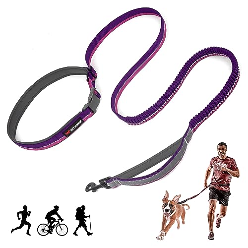 Hands Free Bungee Dog Leash (Punch Purple)