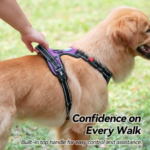 No Pull Dog Harness Medium with Front Clip & Neck Release Buckle (Medium / Purple)