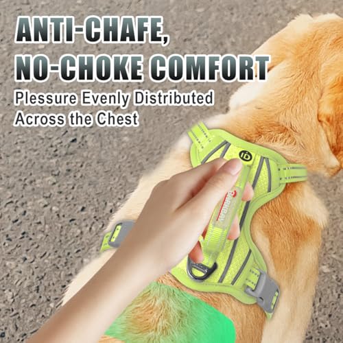 Dog Harness for Medium Sized Dog No Pull Dog Vest ID Tag Pocket (Sunlight / Medium)