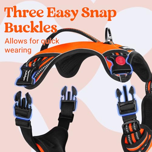 Large Dog Harness (Small / Orange)