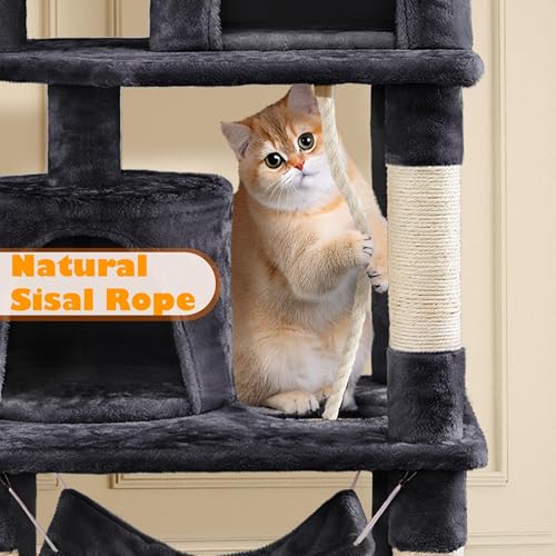 62.5inches Cat Tree Cat Tower Cat Condo with Platform & Hammock (62.5in / Black)