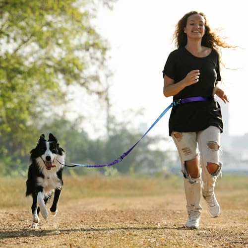 Hands Free Dog Leash for Medium Large Dogs Heavy Duty (Violet)