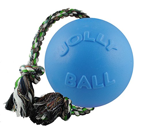 Romp-N-Roll Rope & Ball Dog Toy, 8 in Large, Blueberry (Blueberry / Large (8 in))