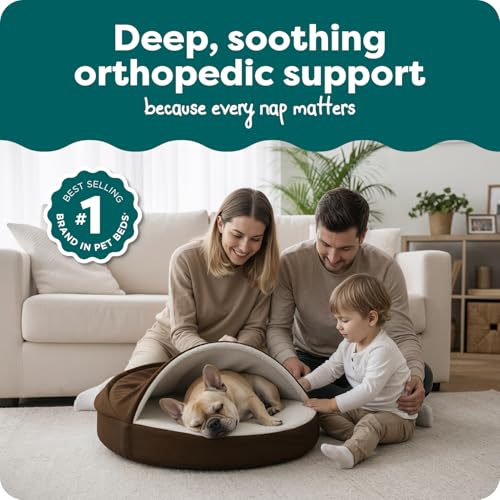 Round Orthopedic Dog Bed for Medium Dogs (Espresso / Medium)