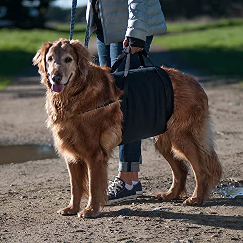 Walkabelly Support Sling (Large)