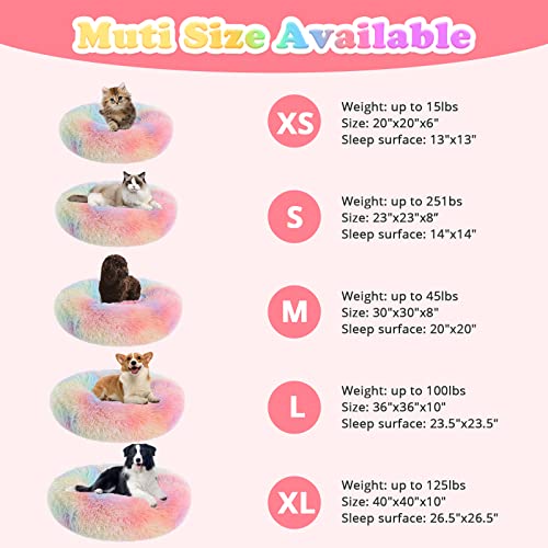 Dog & Cat Bed (20" / Rainbow)