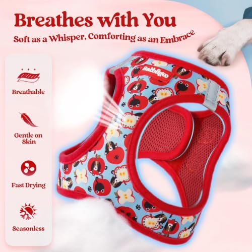 Dog Harness Small Sized and Leash Set (Apple Pups / Xs (chest: 13.3 - 15.5"))