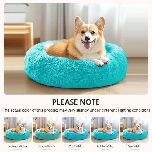 Calming Dog Bed Medium Size Dog (Aqua Blue / 31.0"L x 31.0"W x 8.0"Th)