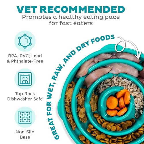 Fun Feeder Slo Bowl (Turquoise / Large)