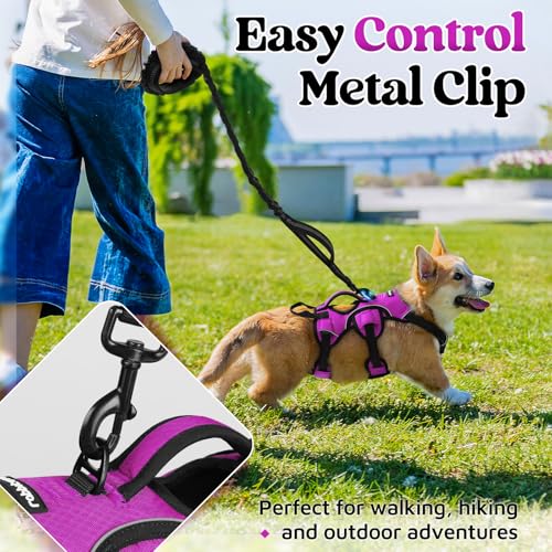 Escape Proof Dog Harness for Small (Purple / Small)