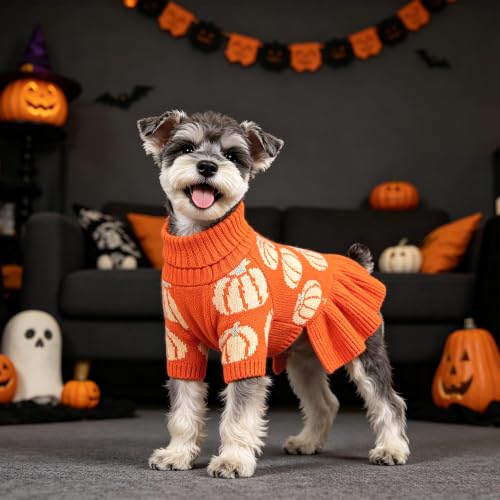 Bowknot Dog Sweater Dress for Small Dogs Girl (Medium (8-14lbs) / Pumpkin Orange)