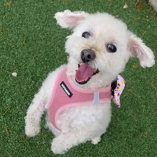 Voyager Step in Air All Weather Mesh Harness and Reflective Dog 5ft Leash Combo with Neoprene Handle (Harness Leash Set (Pink) / S (Chest: 14.5 - 16"))