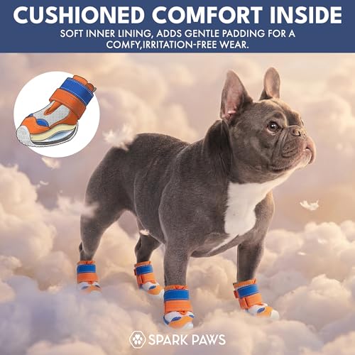 365 Dog Shoes (Orange Blue / Size 3: 2"x2.36"(W*L) (Pack of 4))