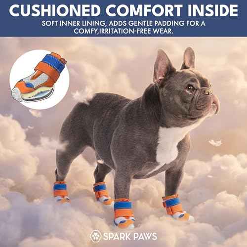365 Dog Shoes (Orange Blue / Size 6: 2.6"x2.95"(W*L) (Pack of 4))