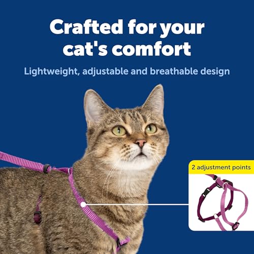 Come with Me Kitty Harness and Bungee Cat Leash (Medium (Pack of 1) / Dusty Rose)
