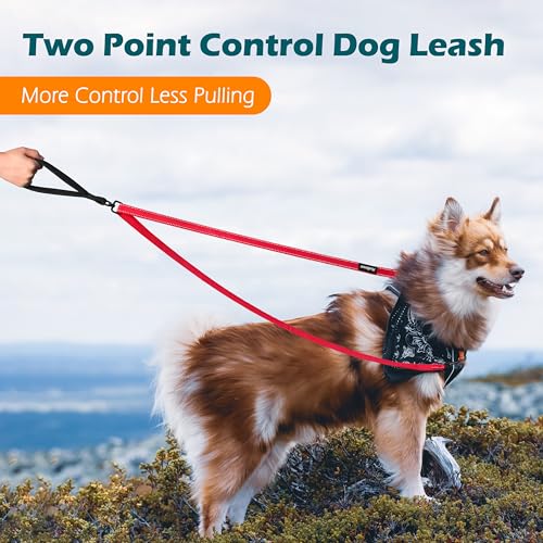 Two Point Control Dog Leash (Red)