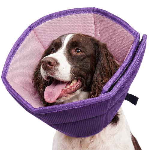 Adjustable Dog Cone for Spay (Purple / L(Neck Girth:13.39"-17.32"))