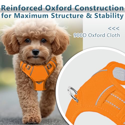 No Pull Dog Harness for Small Sized Dogs (Small(Chest:19.5-26”) / Pumpkin-Oxford)