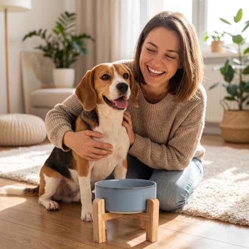 Elevated Ceramic Dog Bowl with Bamboo Stand (Gray Blue / 3.6Cup)
