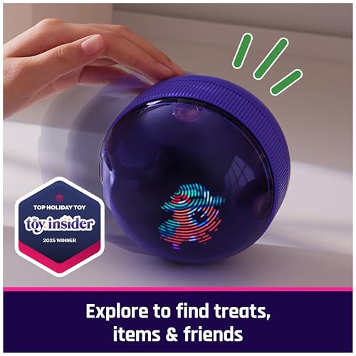 Hamster Ball Interactive Toy & Digital Pet