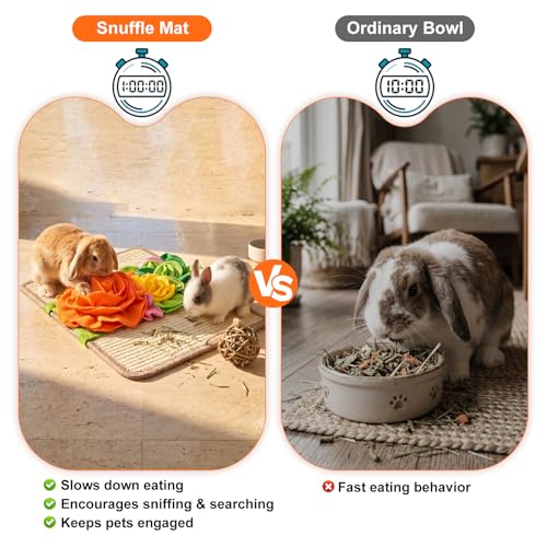 3-in-1 Interactive Rabbit Enrichment Mat, Sisal Scratch Pad, Snuffle & Chew