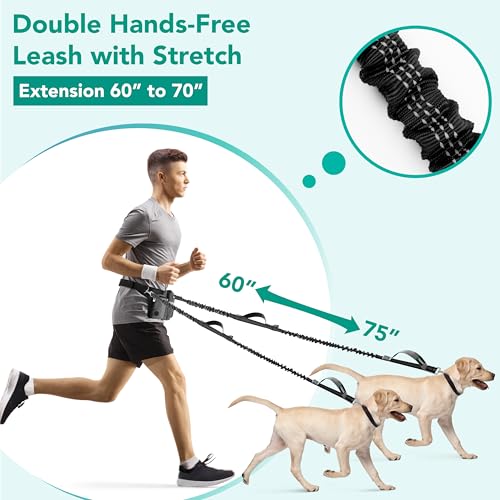 Premium Hands Free Dog Leash for 2 Dogs (Charcoal Grey / 2 Leashes)