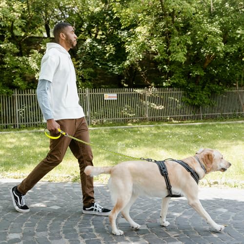 Chain Dog Leash (Yellow / 5.2FT(5-30lb))