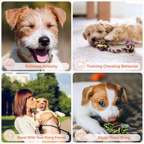 Puppy Teething Toys for Small Dogs (5 Pack / Small)