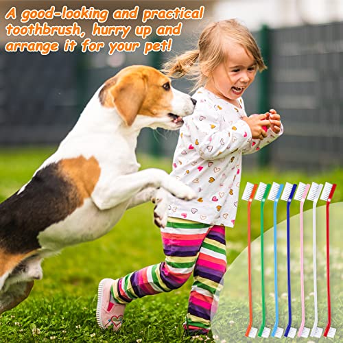 70 Pcs Dog Tooth Brush Dual Headed Pet Toothbrush (Colorful)
