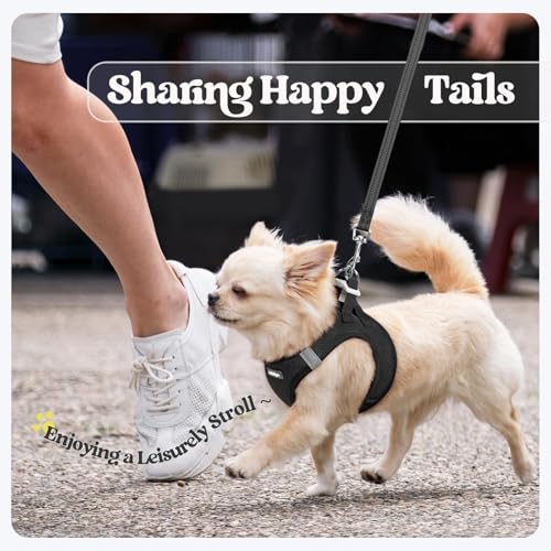 Dog Harness Medium Sized and Leash Set (Black / Xl (chest: 20 - 21.8"))