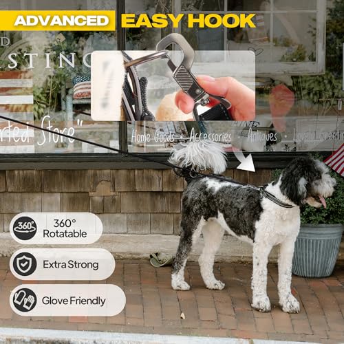 10 FT Heavy Duty Dog Leash (10 Feet (Pack of 1) / Black)