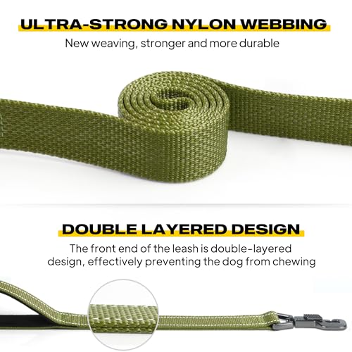 Heavy Duty Dog Leash for Medium Large Dogs (5 Feet (Pack of 1) / Green)