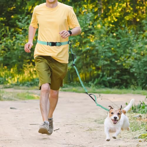 Hands Free Leash (Soild Teal / 7FT Hands Free)