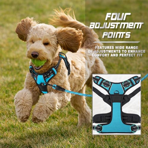 Dog Harness No Pull for Small Sized Dog Front Back Clips (X-Small(Chest:15.5-19.5”) / Blue)