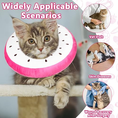 Cat Cone Collar Soft (Dragonfruit / Small)