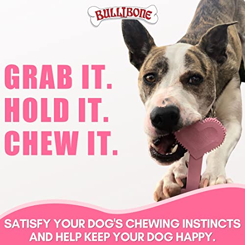 Nylon Dog Chew Toy for Aggressive Chewers (Large - 3 Pack)