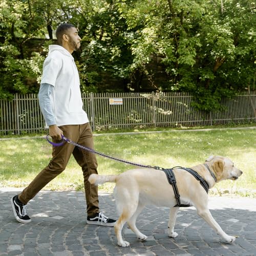 Chain Dog Leash (Purple / 4FT(30-80lb))