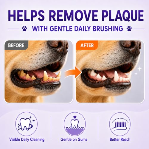 Dog Toothbrush (Orange / 1 Count (Pack of 1))