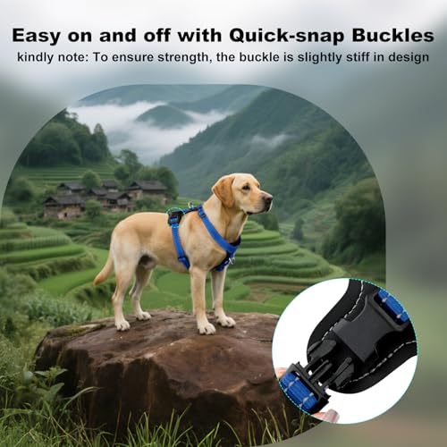 No Pull Dog Harness with Leather Accents (L / Royal Blue)