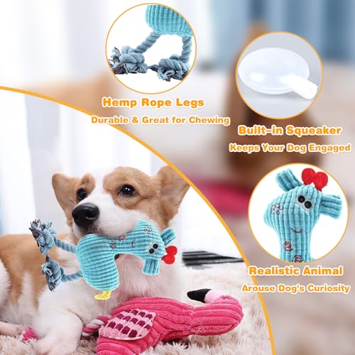 2 Pack Plush Dog Toys with Rope