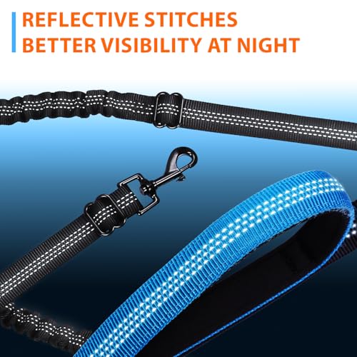 Hands Free Dual Dog Leash (Blue / 2 dogs S)