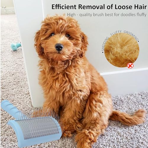 Slicker Brush for Poodles (blue)